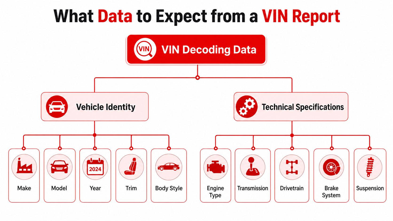 A diagram illustrating the types of data found in a vehicle identification number report.